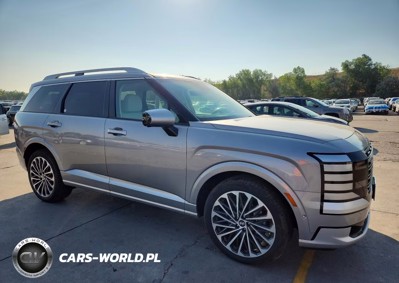 2026 Hyundai Palisade Calligraphy VIN:KM8RMES2XTU020742 - 4