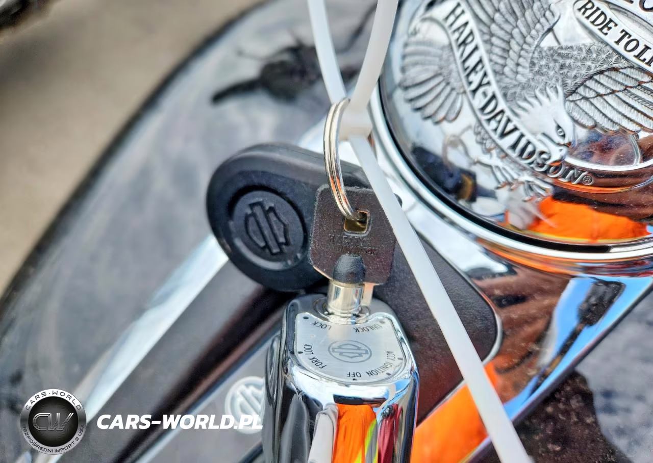 2023 Harley-Davidson Flhtcutg VIN:1HD1MAF28PB852360 - 8
