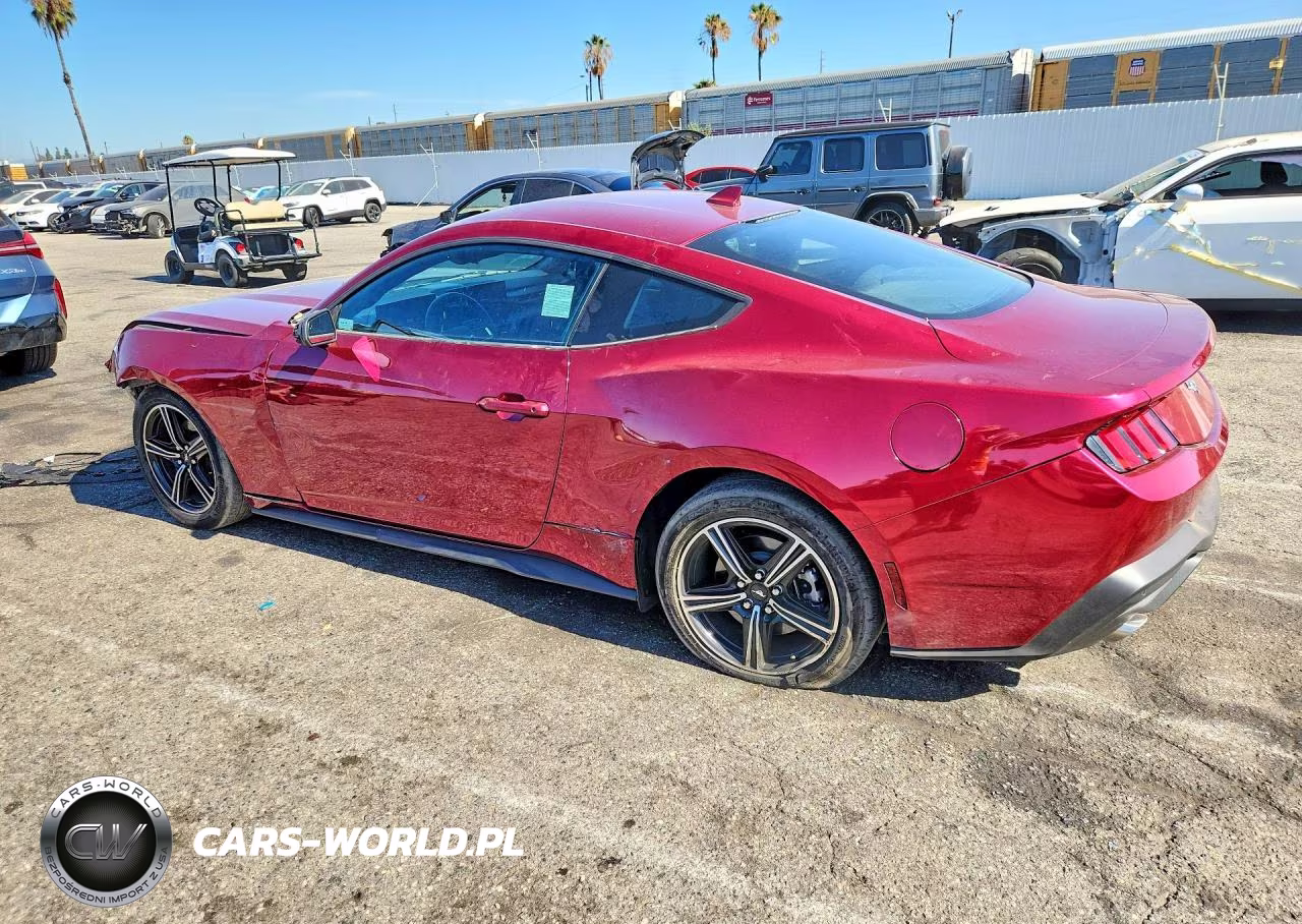 2025 Ford Mustang VIN:1FA6P8TH4S5104489 - 2