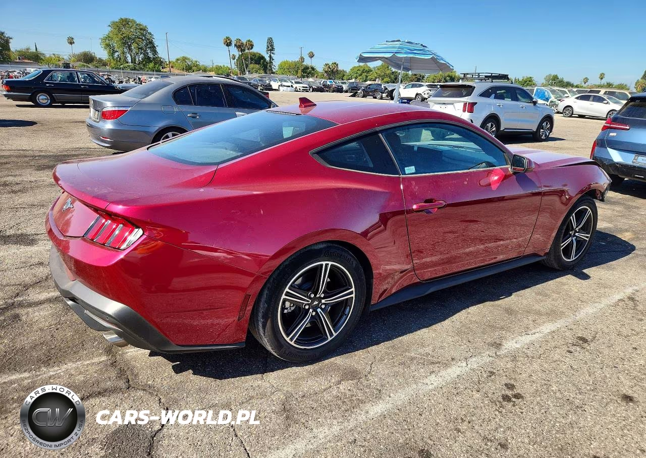 2025 Ford Mustang VIN:1FA6P8TH4S5104489 - 3