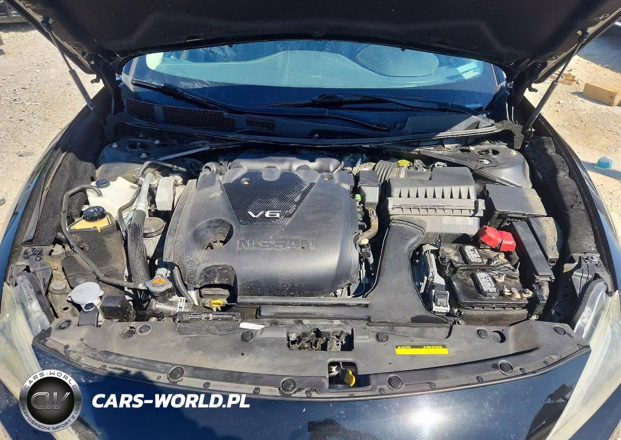 2017 Nissan Maxima Platinum VIN:1N4AA6AP1HC417529 - 11