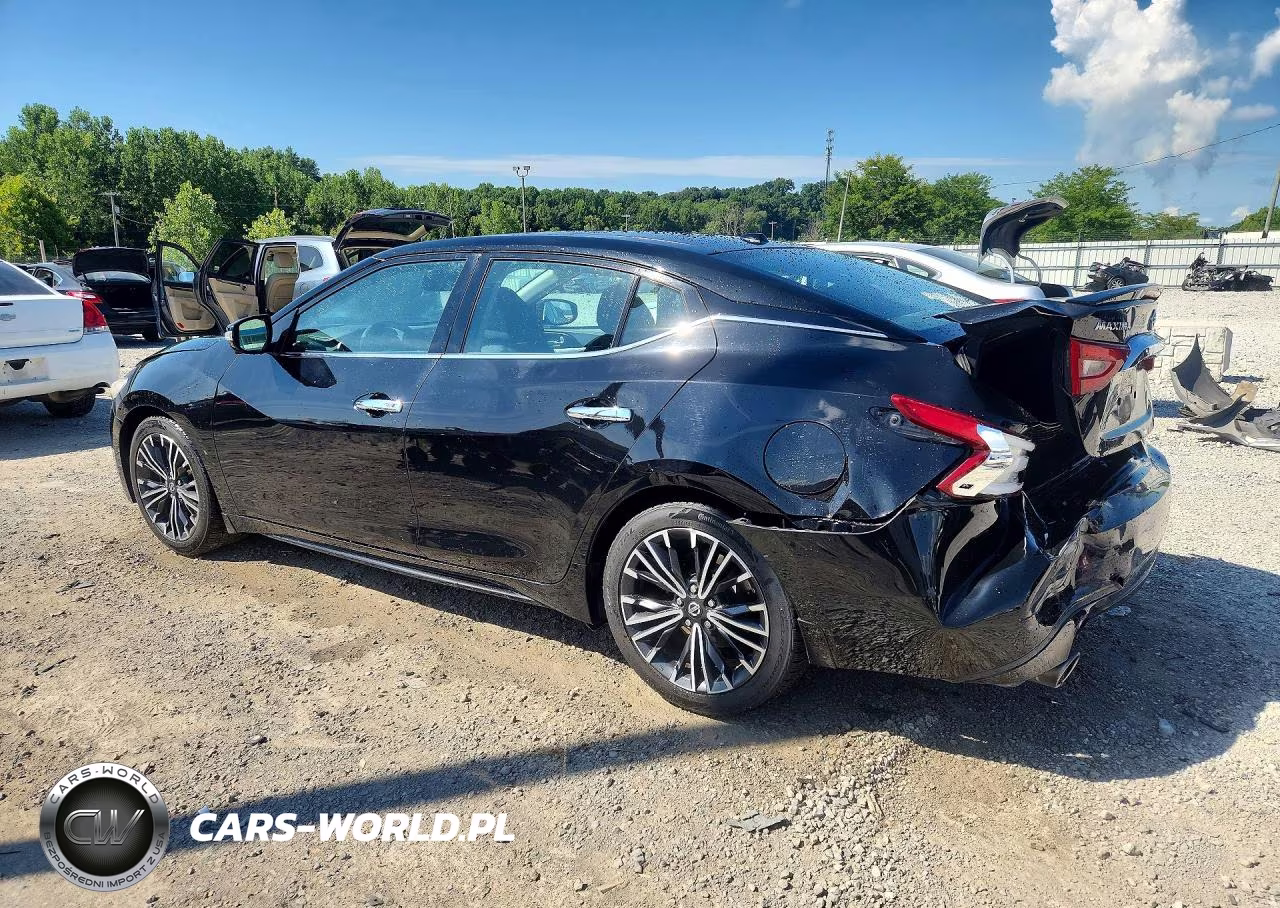 2017 Nissan Maxima Platinum VIN:1N4AA6AP1HC417529 - 2