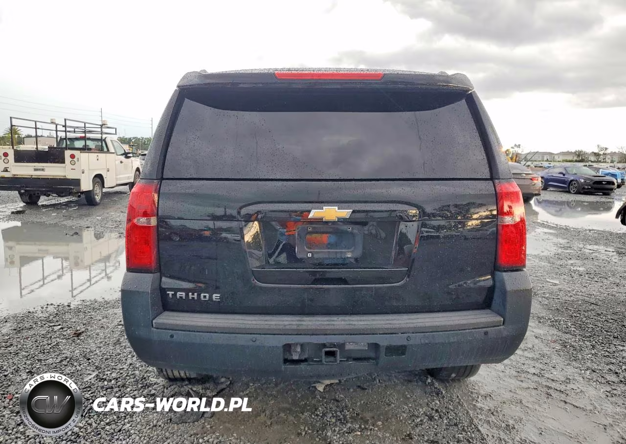 2019 Chevrolet Tahoe K1500 Lt VIN:1GNSKBKC9KR289715 - 6