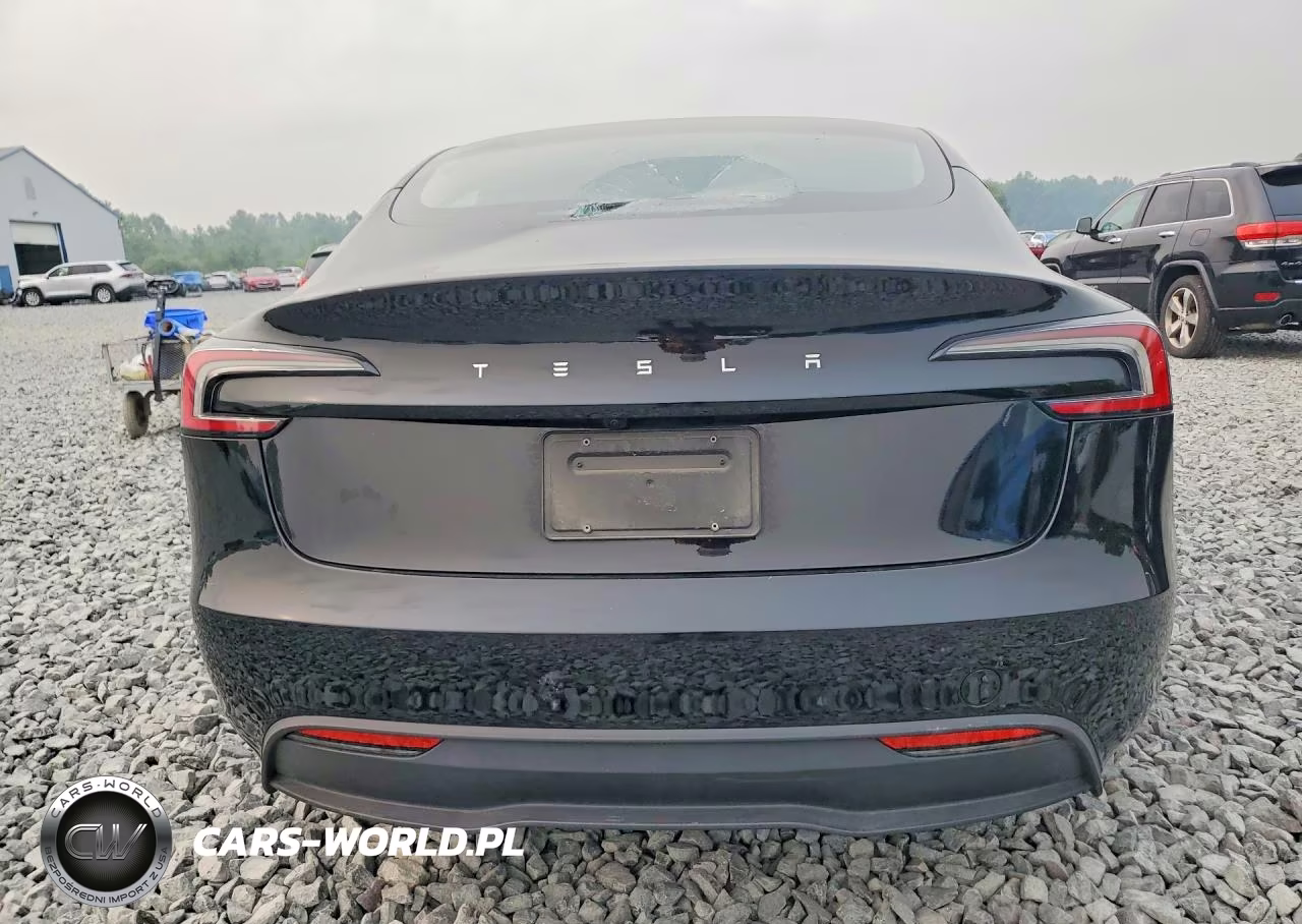 2024 Tesla Model 3 VIN:5YJ3E1EA3RF771489 - 6