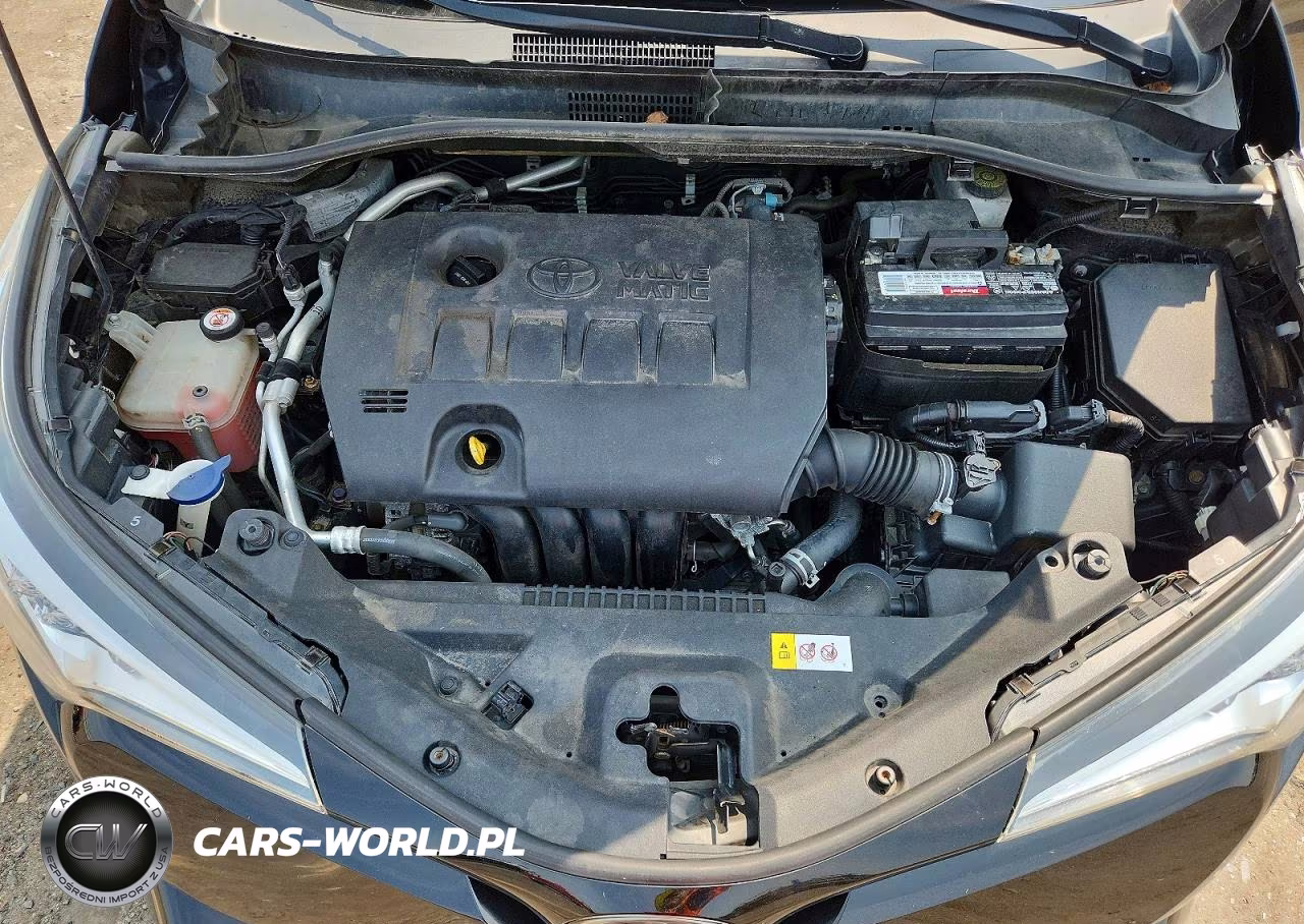 2018 Toyota C-Hr Xle Premium VIN:JTNKHMBX8J1011323 - 12
