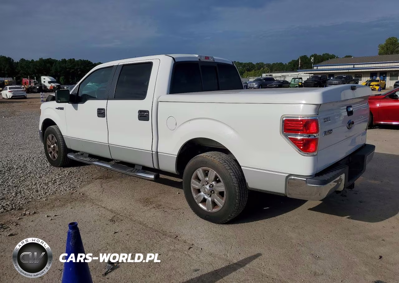2009 Ford F150 Supercrew VIN:1FTRW12869FB30387 - 2