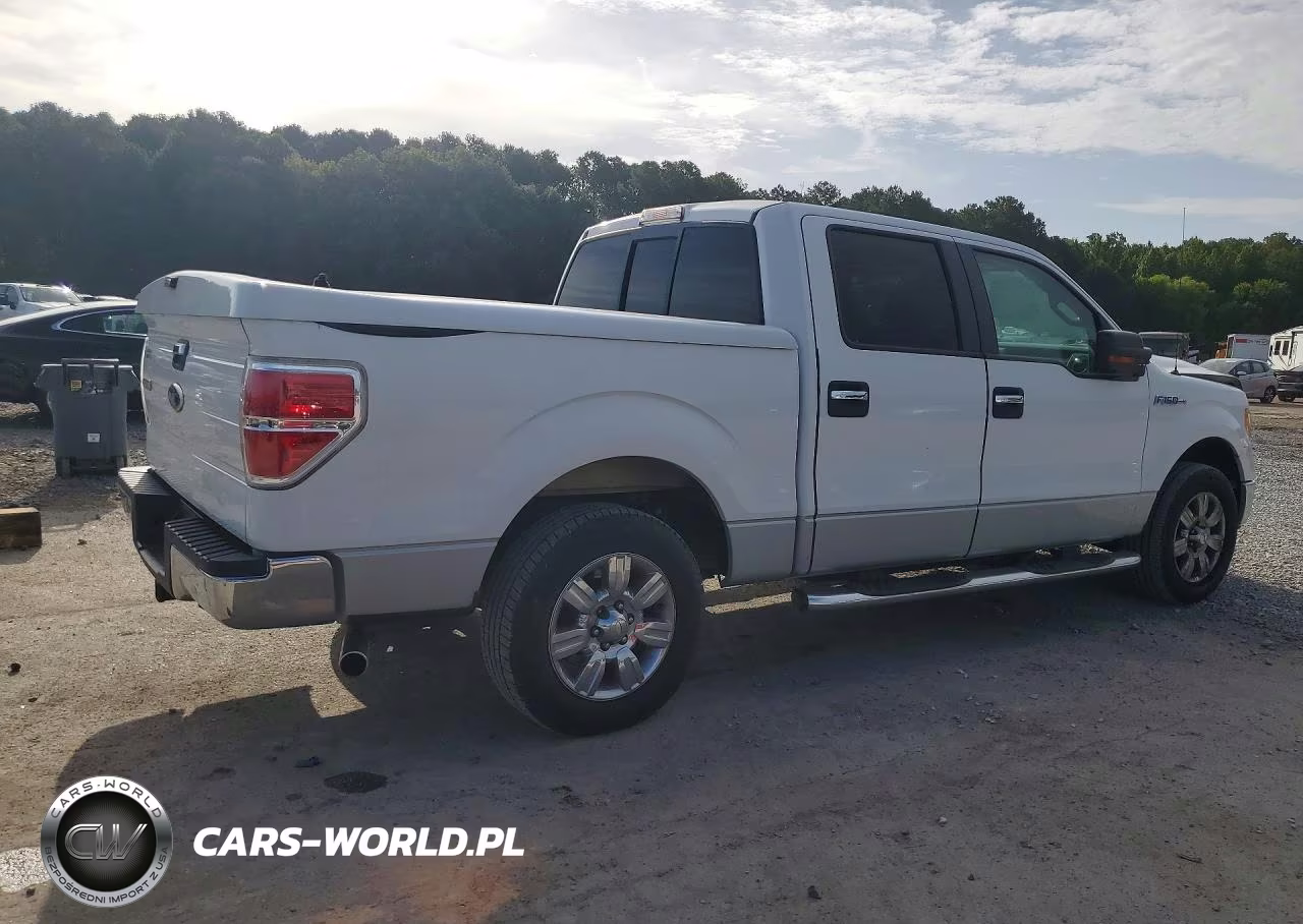 2009 Ford F150 Supercrew VIN:1FTRW12869FB30387 - 3