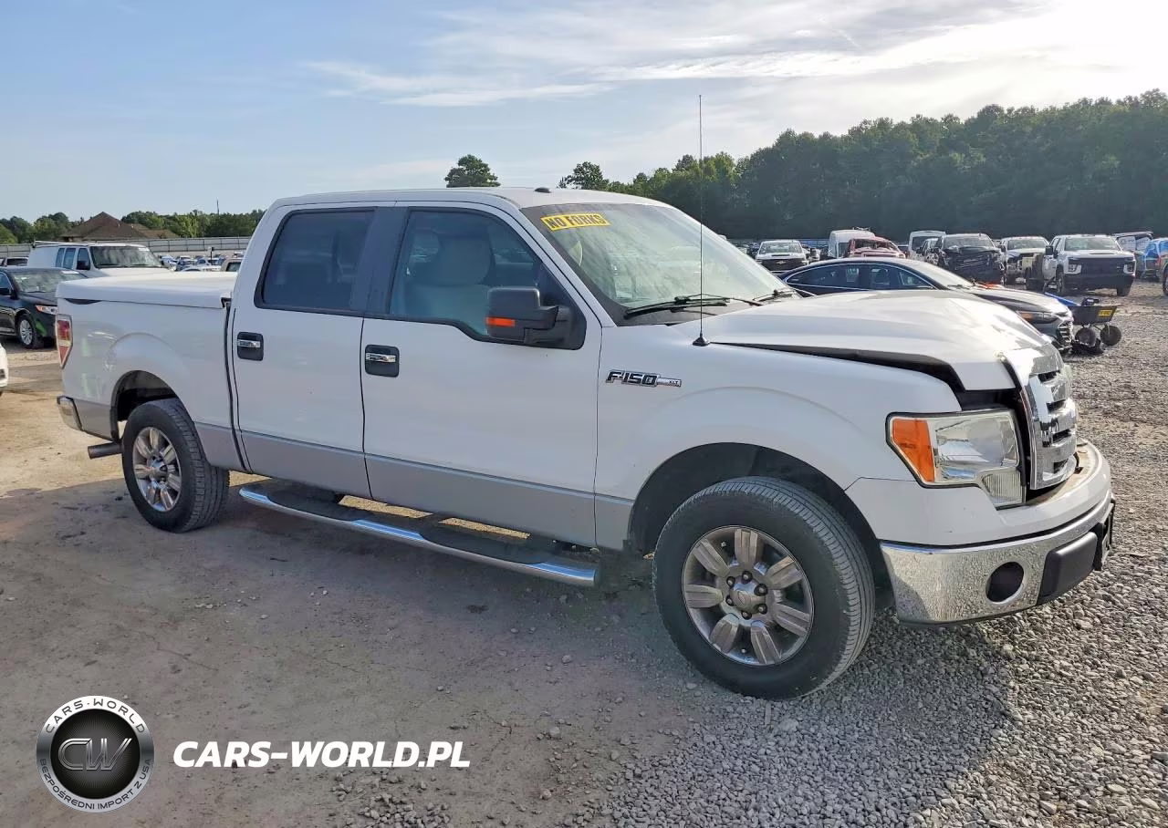 2009 Ford F150 Supercrew VIN:1FTRW12869FB30387 - 4