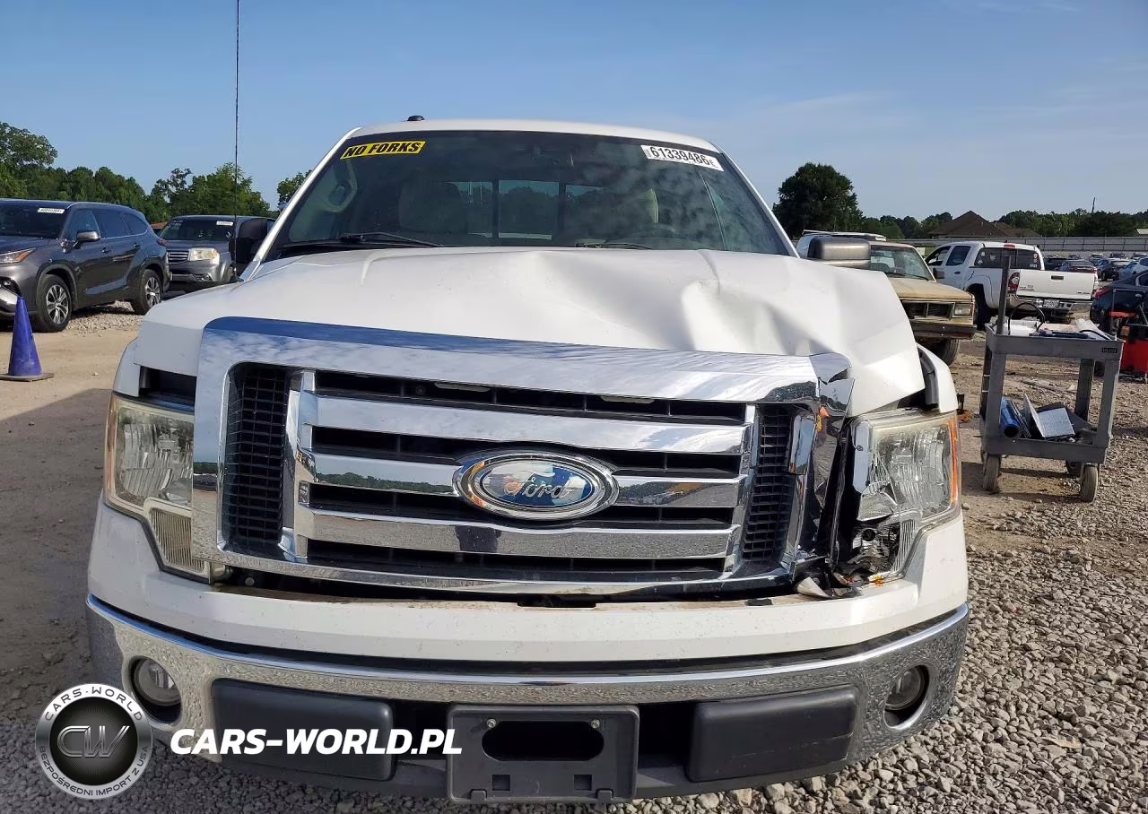 2009 Ford F150 Supercrew VIN:1FTRW12869FB30387 - 5