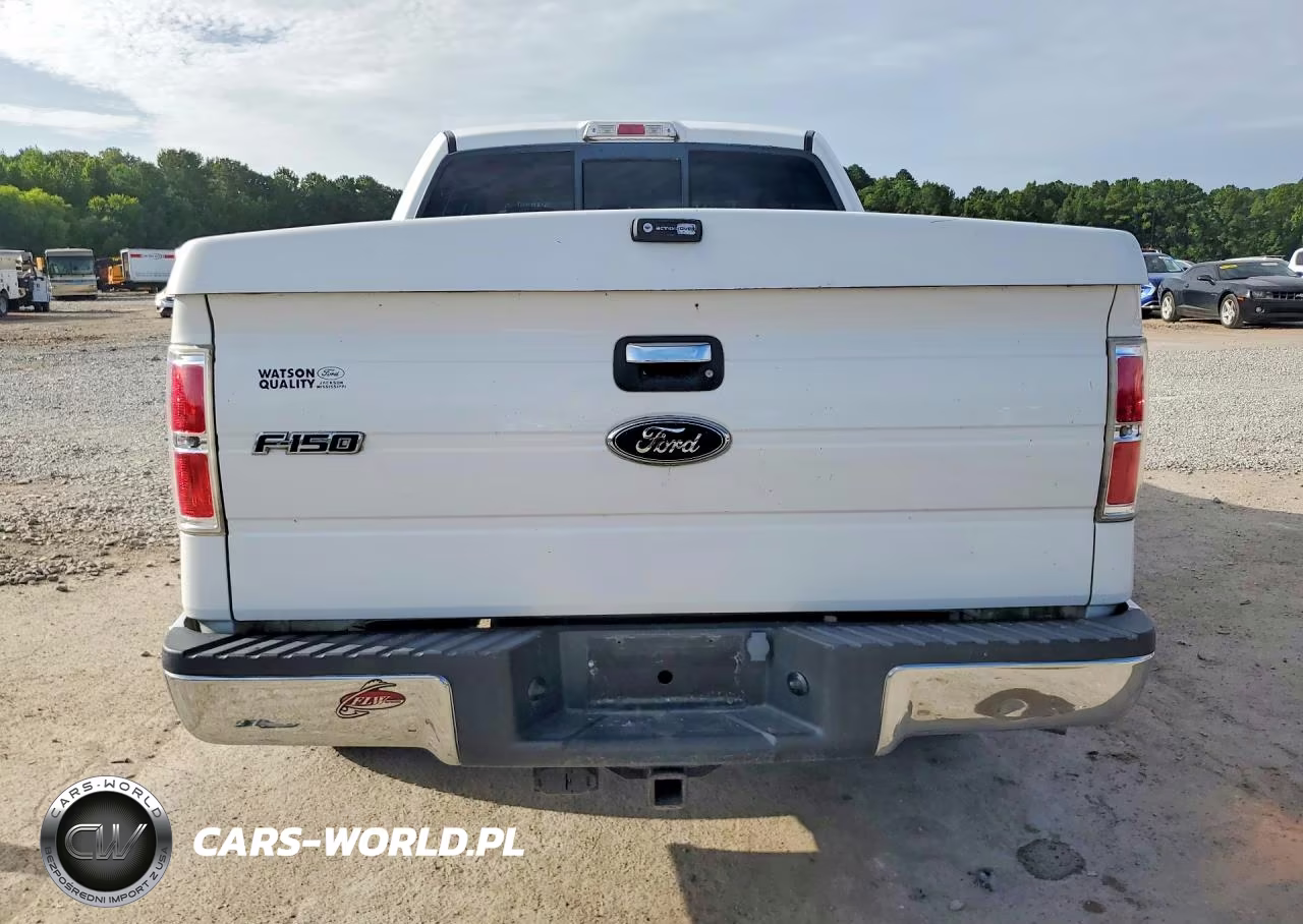 2009 Ford F150 Supercrew VIN:1FTRW12869FB30387 - 6