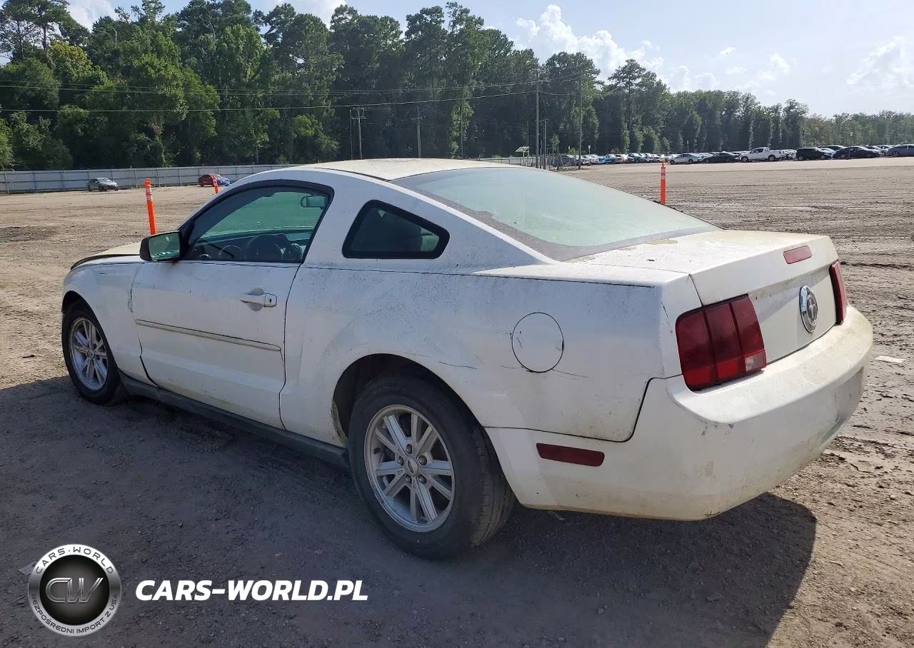 2005 Ford Mustang VIN:1ZVFT80N855139165 - 2