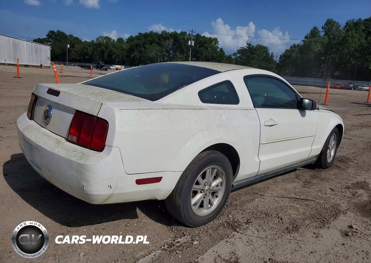 2005 Ford Mustang VIN:1ZVFT80N855139165 - 3