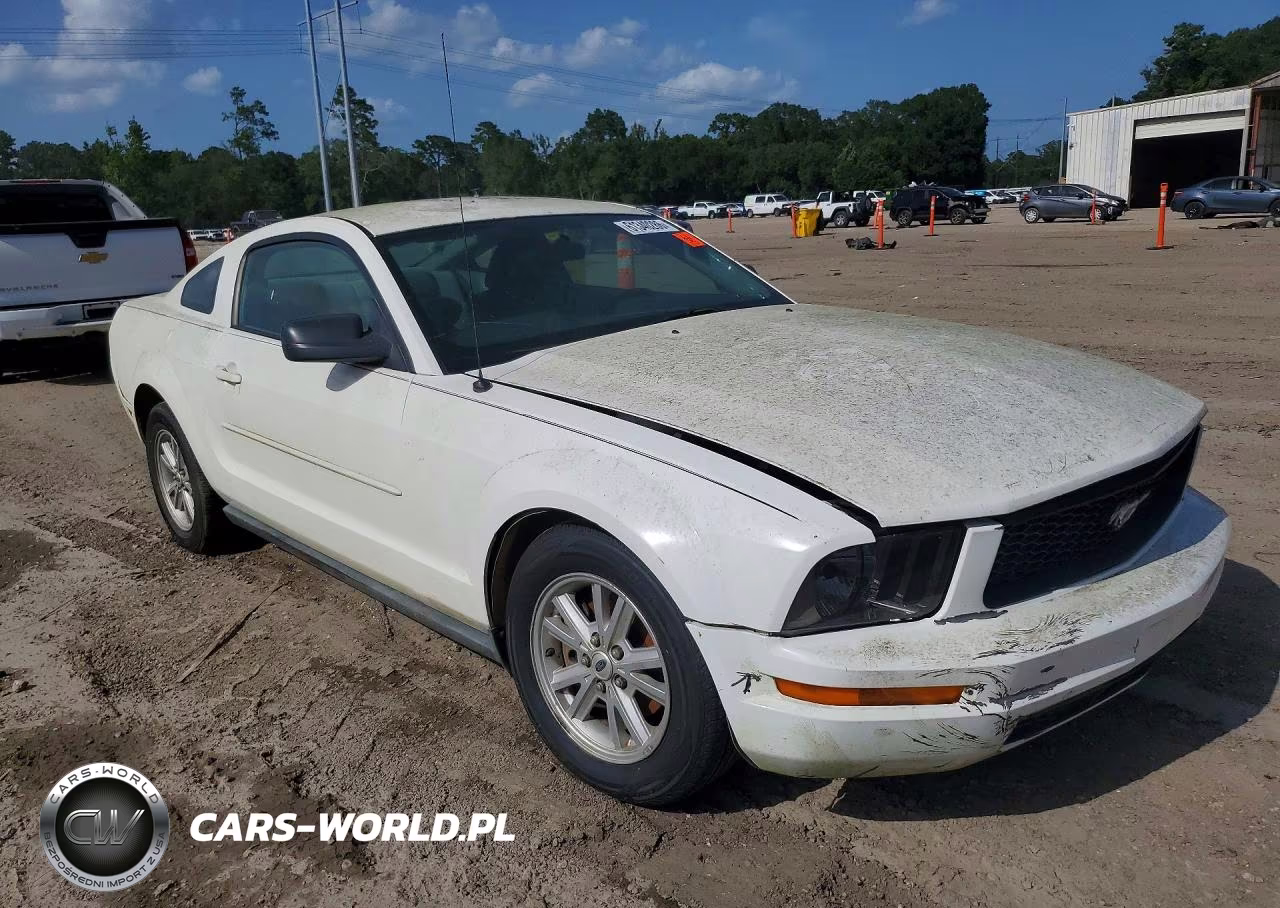 2005 Ford Mustang VIN:1ZVFT80N855139165 - 4