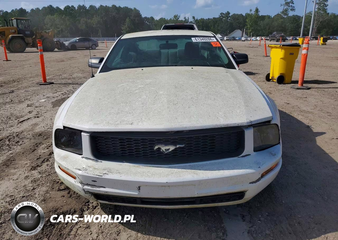 2005 Ford Mustang VIN:1ZVFT80N855139165 - 5