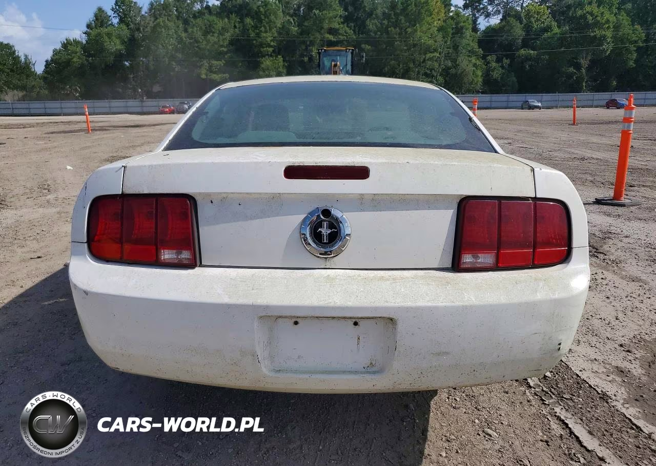 2005 Ford Mustang VIN:1ZVFT80N855139165 - 6