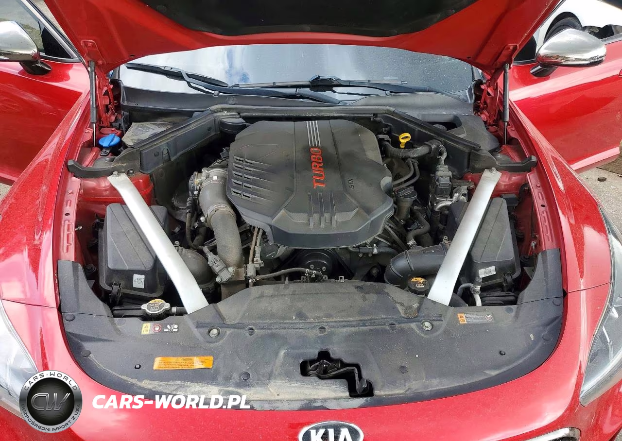 2019 Kia Stinger Gt VIN:KNAE35LC0K6054489 - 11