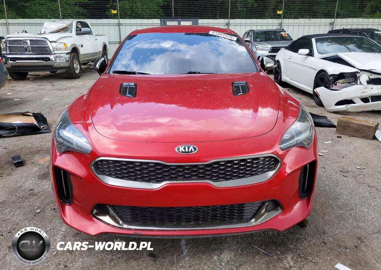 2019 Kia Stinger Gt VIN:KNAE35LC0K6054489 - 5