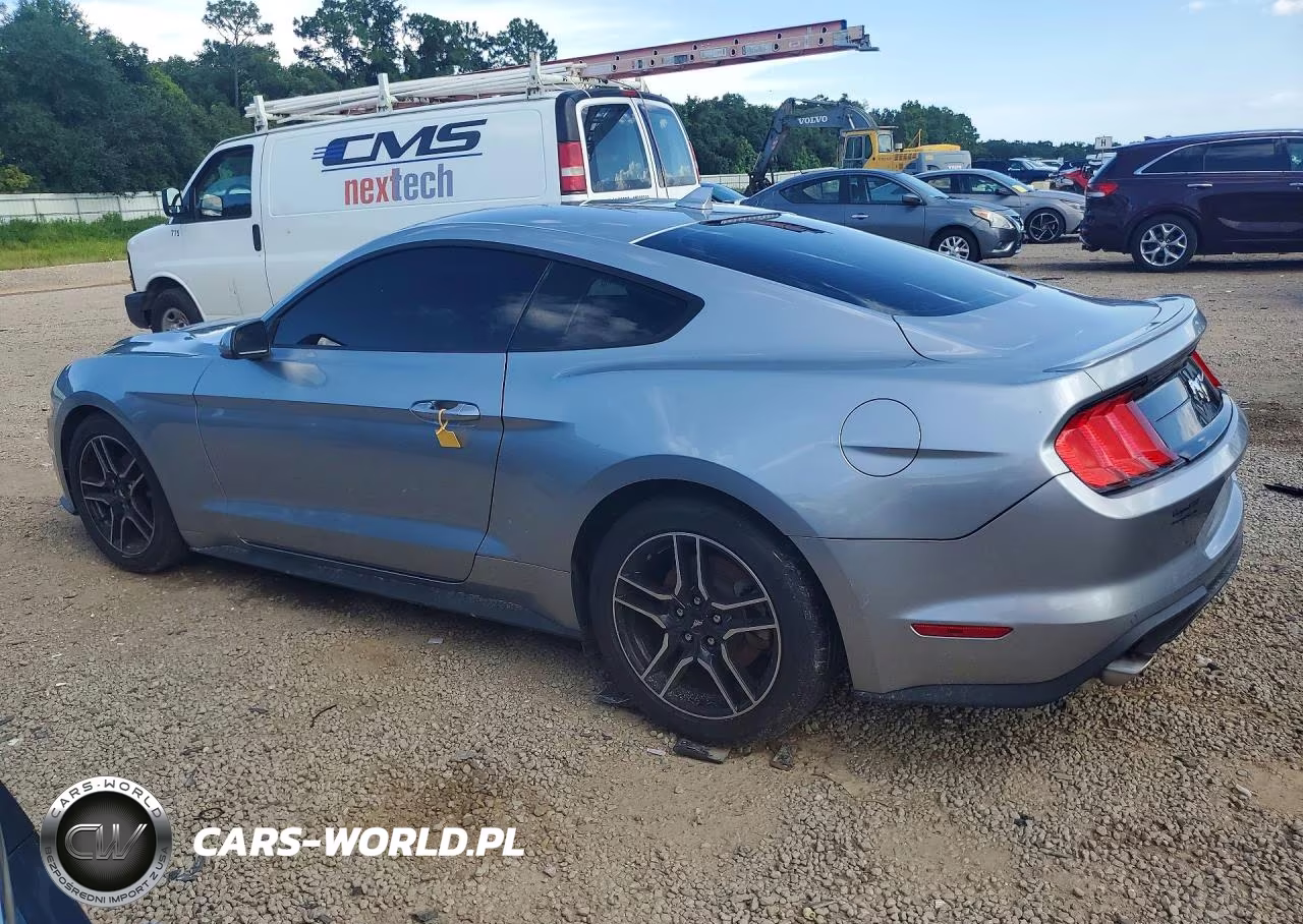 2023 Ford Mustang VIN:1FA6P8TH5P5108669 - 2