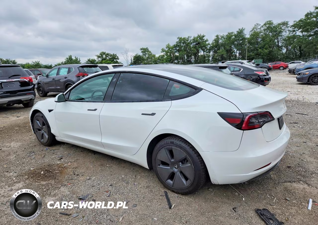 2023 Tesla Model 3 VIN:5YJ3E1EAXPF559220 - 2