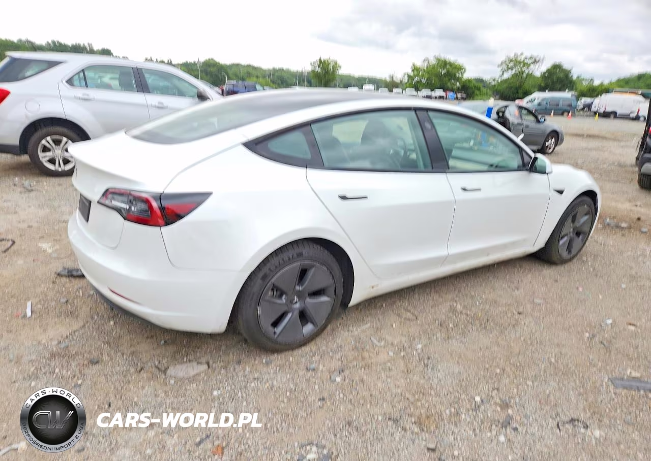 2023 Tesla Model 3 VIN:5YJ3E1EAXPF559220 - 3