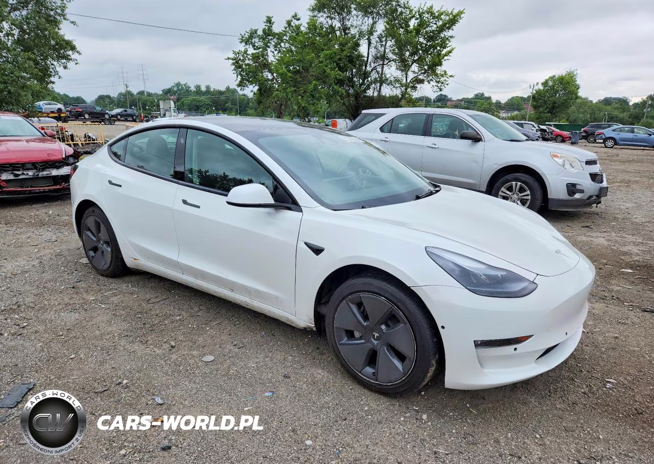 2023 Tesla Model 3 VIN:5YJ3E1EAXPF559220 - 4