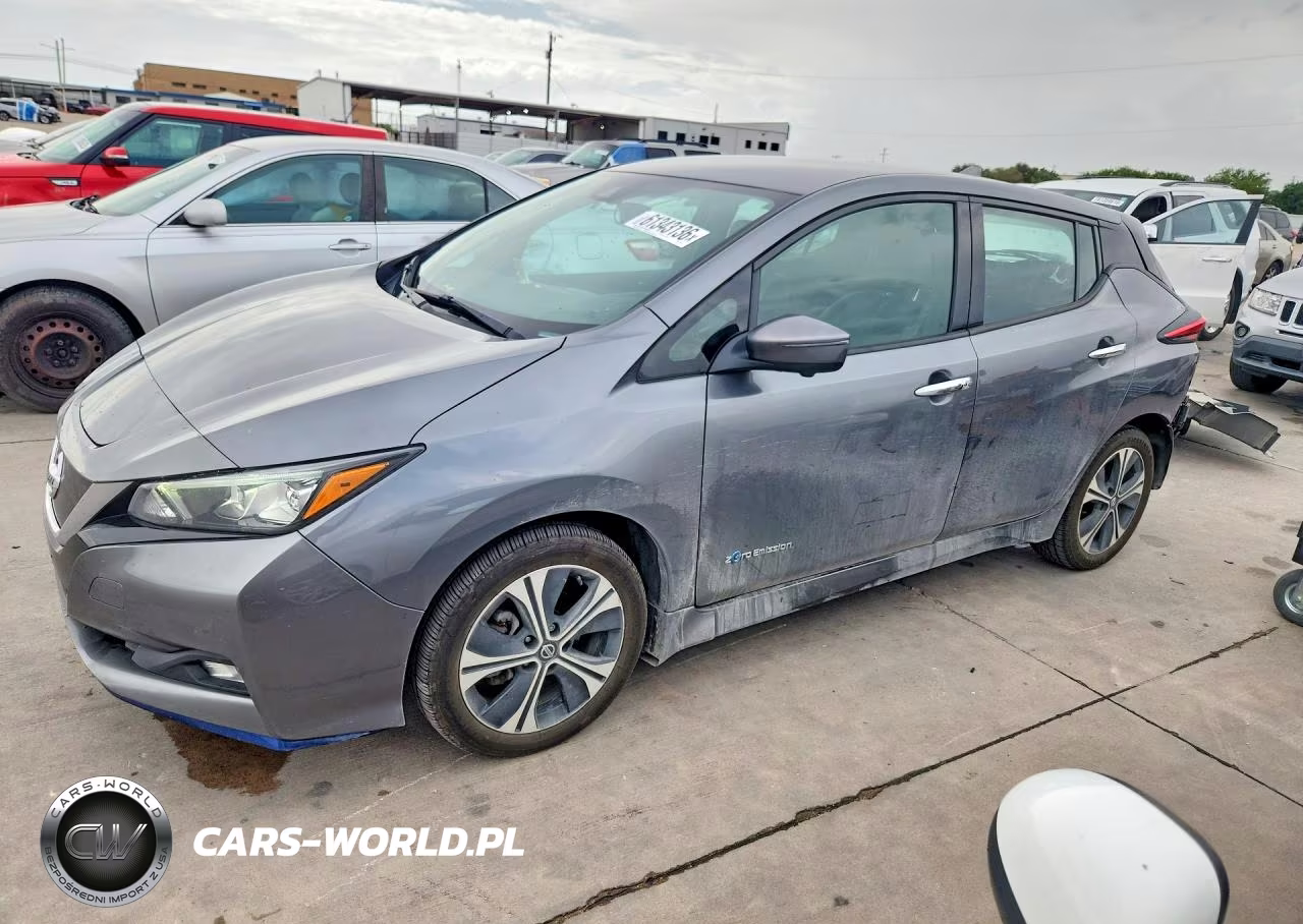 2019 Nissan Leaf Sl Plus