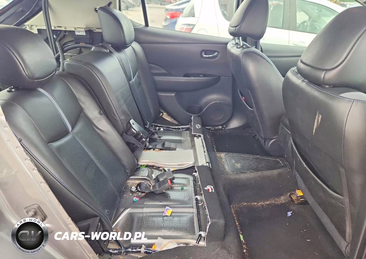 2019 Nissan Leaf Sl Plus VIN:1N4BZ1CP0KC319760 - 10