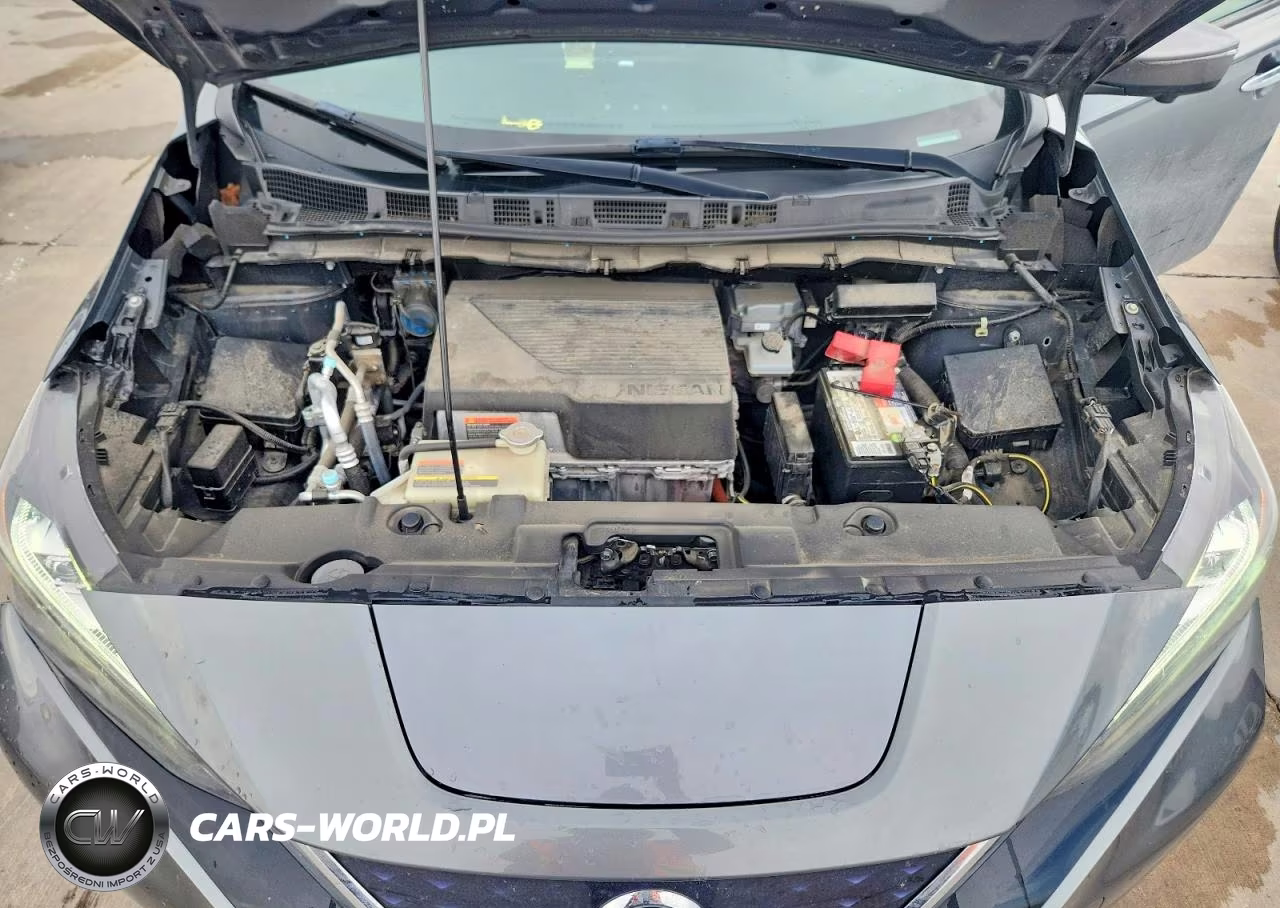 2019 Nissan Leaf Sl Plus VIN:1N4BZ1CP0KC319760 - 11
