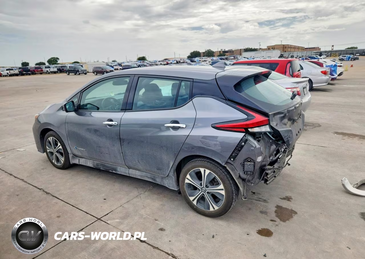 2019 Nissan Leaf Sl Plus VIN:1N4BZ1CP0KC319760 - 2