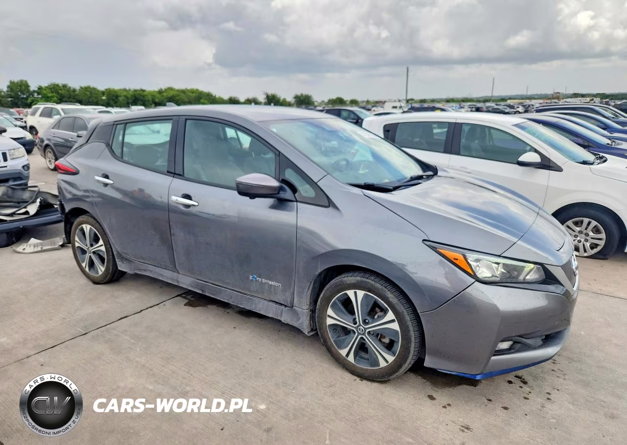 2019 Nissan Leaf Sl Plus VIN:1N4BZ1CP0KC319760 - 4