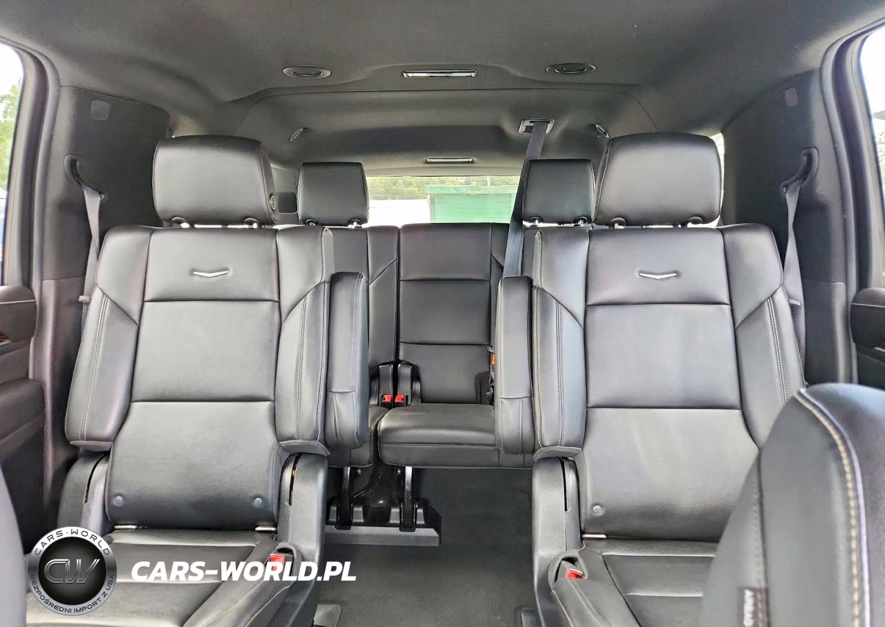 2021 Cadillac Escalade Esv Luxury VIN:1GYS4JKL2MR315405 - 10