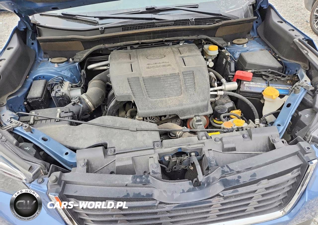 2019 Subaru Forester Limited VIN:JF2SKASC9KH545197 - 12