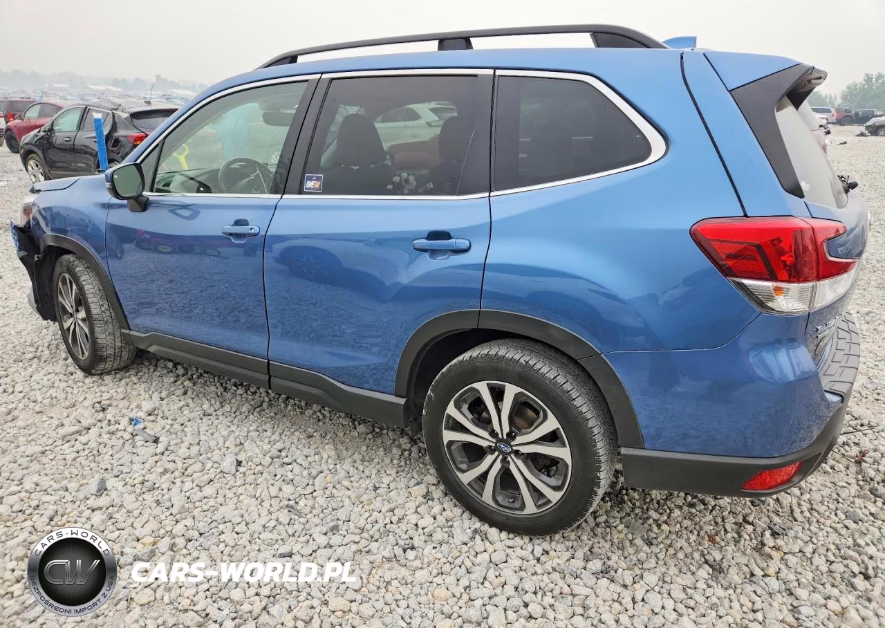 2019 Subaru Forester Limited VIN:JF2SKASC9KH545197 - 2