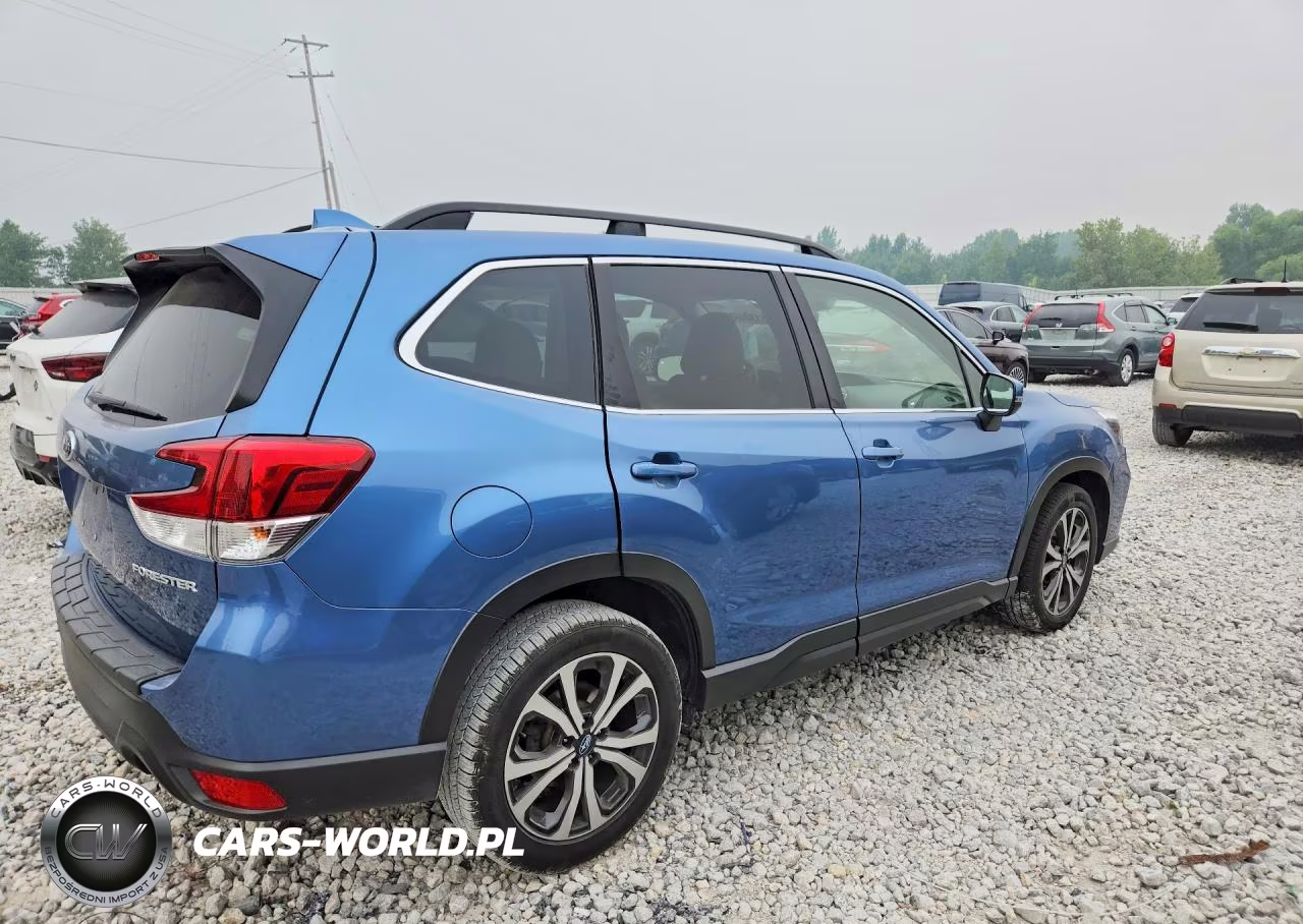 2019 Subaru Forester Limited VIN:JF2SKASC9KH545197 - 3