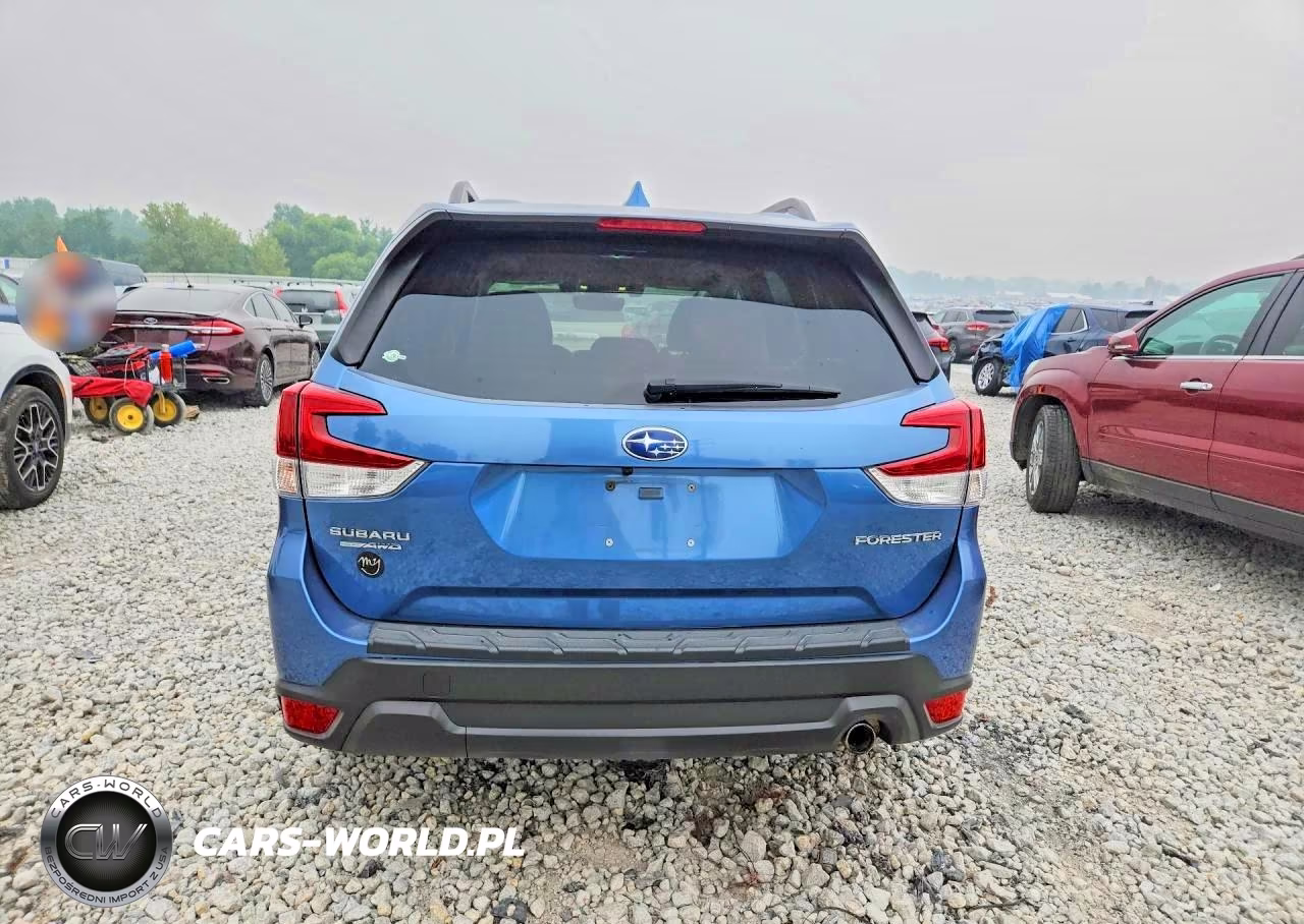 2019 Subaru Forester Limited VIN:JF2SKASC9KH545197 - 6