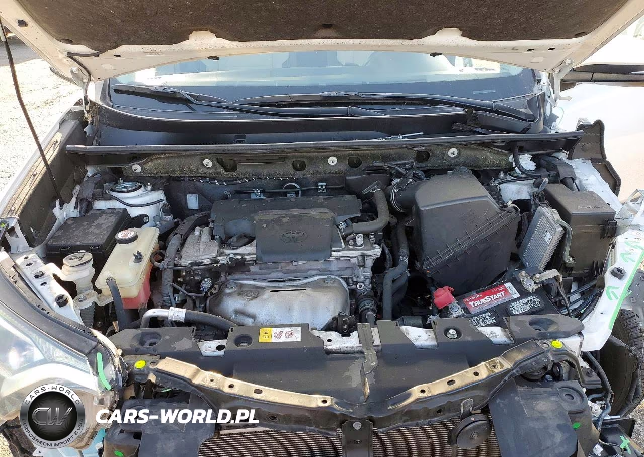 2017 Toyota Rav4 Xle VIN:JTMWFREV9HD097513 - 12