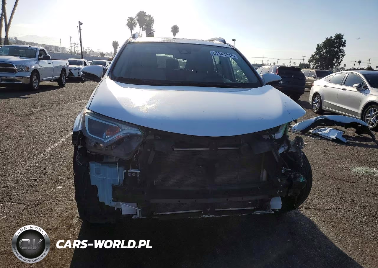 2017 Toyota Rav4 Xle VIN:JTMWFREV9HD097513 - 5