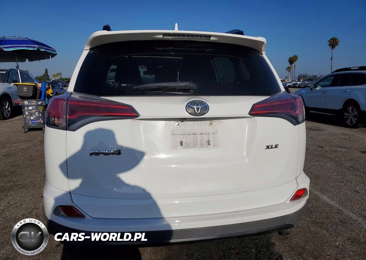 2017 Toyota Rav4 Xle VIN:JTMWFREV9HD097513 - 6