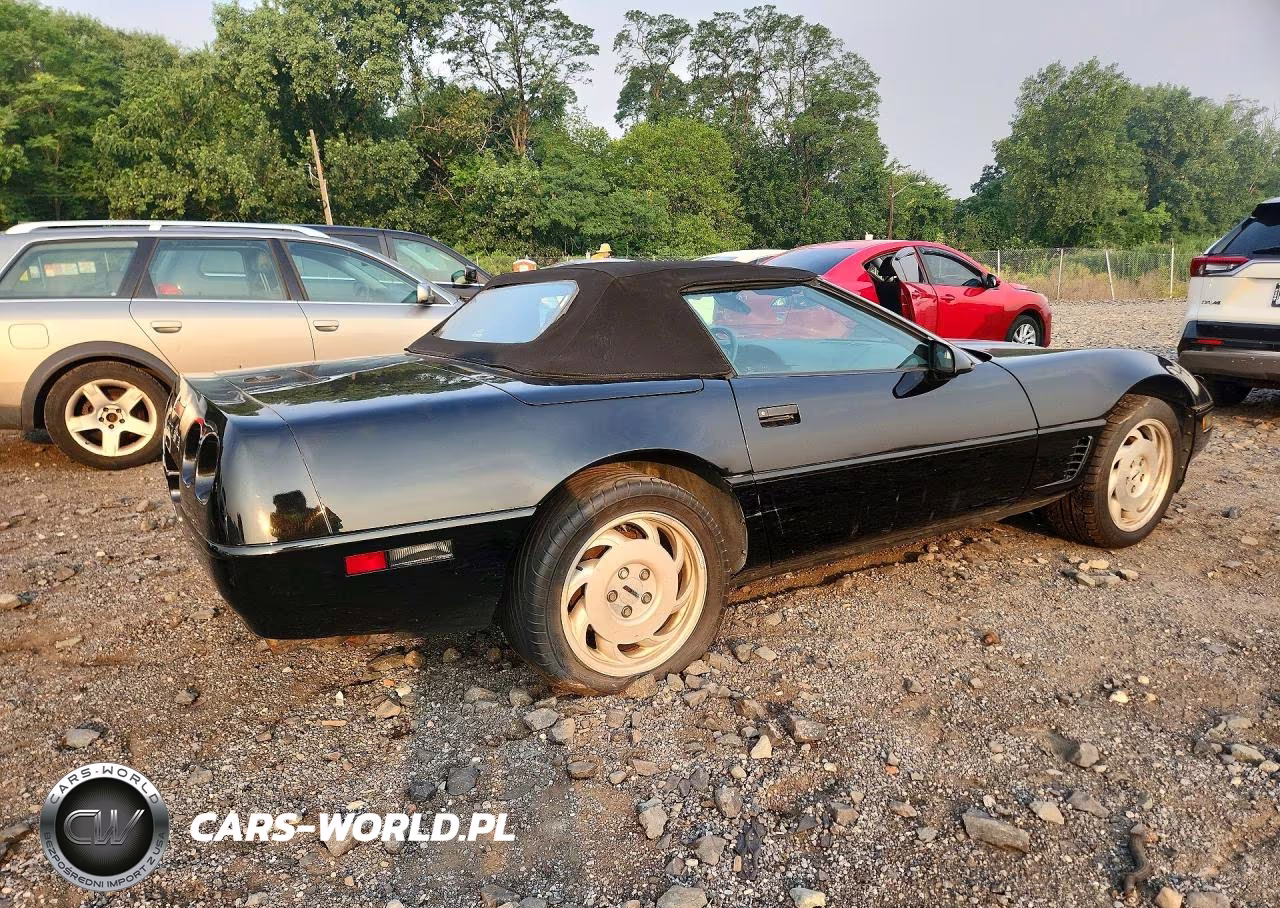1995 Chevrolet Corvette VIN:1G1YY32P4S5102794 - 3