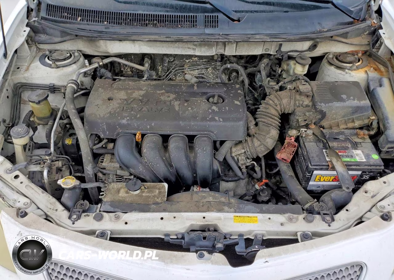 2006 Pontiac Vibe VIN:5Y2SL658X6Z455590 - 12