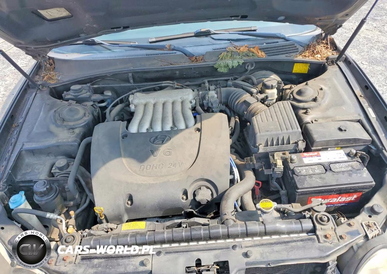 2003 Hyundai Sonata Gl VIN:KMHWF25H33A736153 - 11