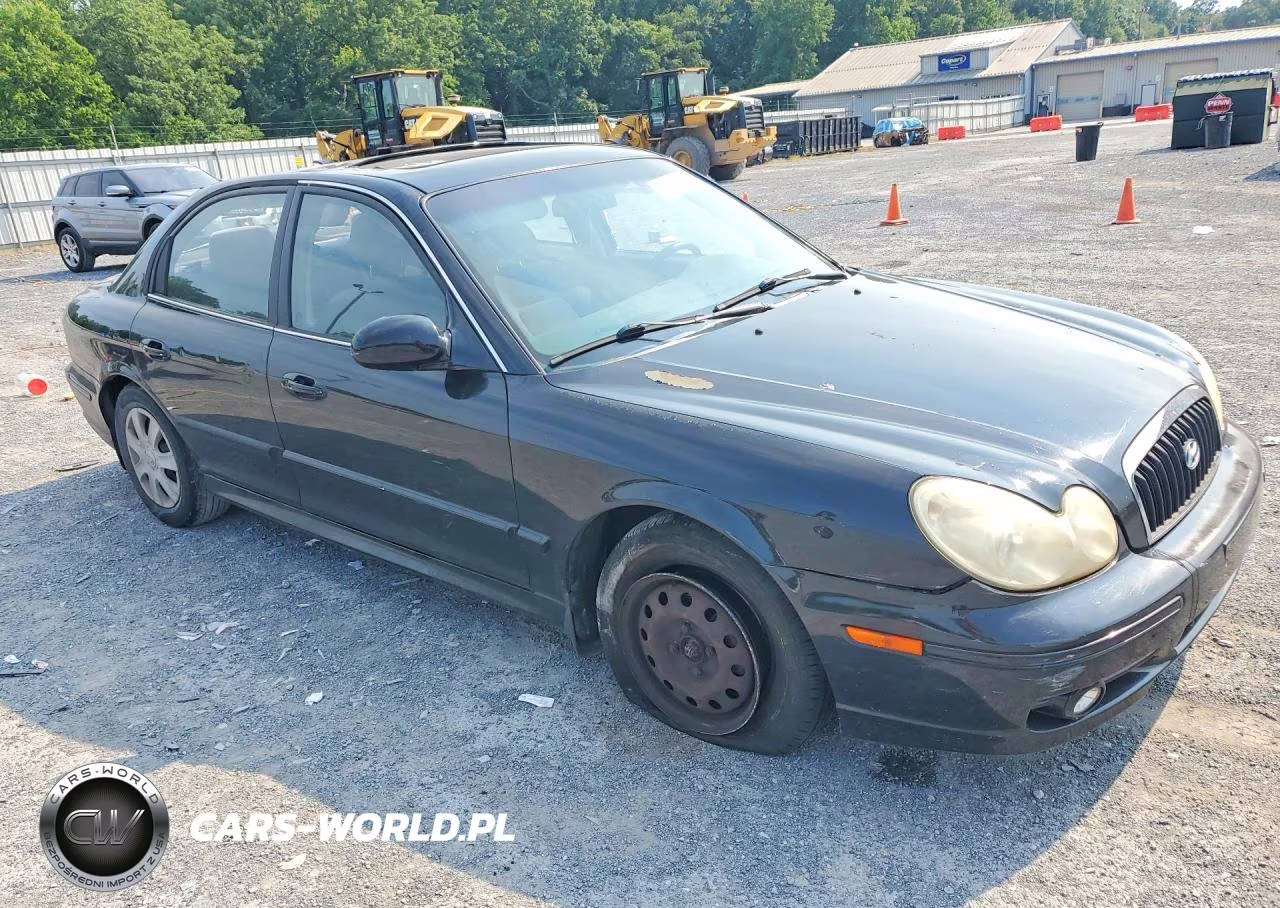 2003 Hyundai Sonata Gl VIN:KMHWF25H33A736153 - 4