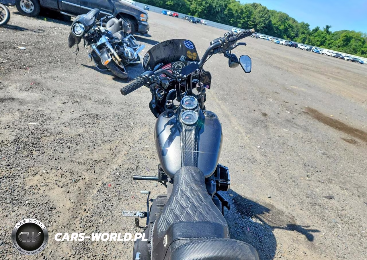 2020 Harley-Davidson Fxlrs VIN:1HD1YWK10LB024618 - 6
