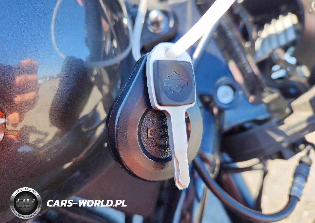 2020 Harley-Davidson Fxlrs VIN:1HD1YWK10LB024618 - 8