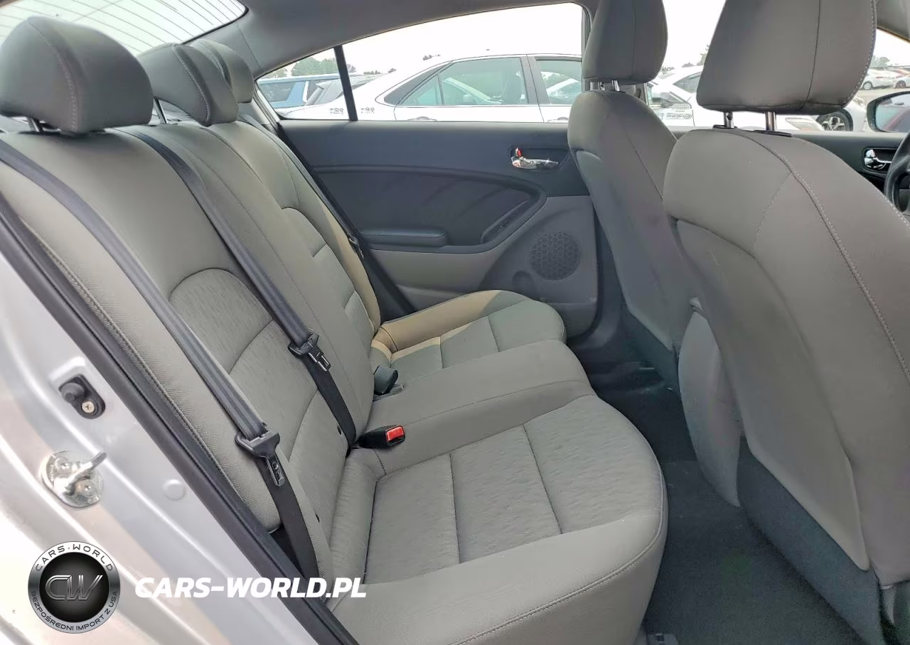 2015 Kia Forte Lx VIN:KNAFK4A68F5394029 - 10