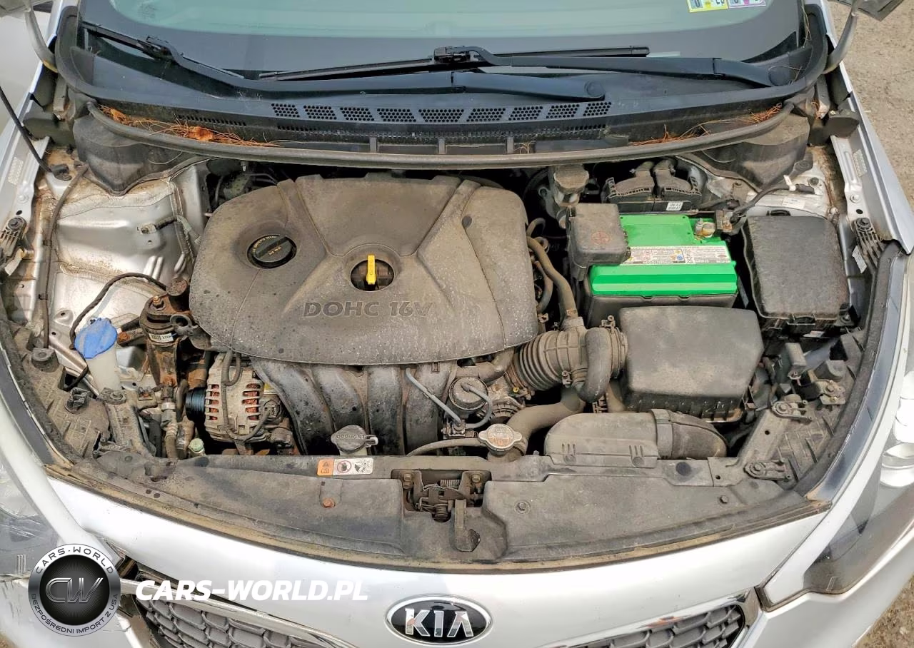 2015 Kia Forte Lx VIN:KNAFK4A68F5394029 - 11