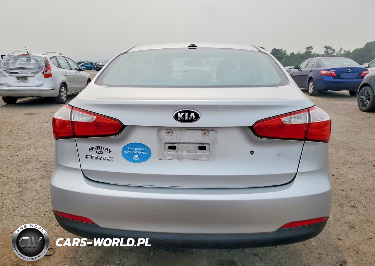 2015 Kia Forte Lx VIN:KNAFK4A68F5394029 - 6
