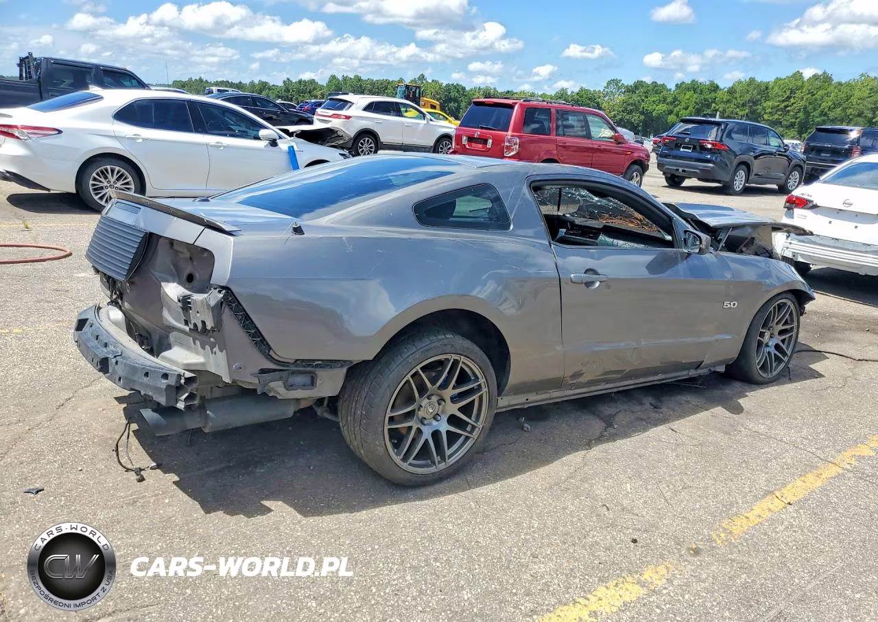 2014 Ford Mustang Gt VIN:1ZVBP8CF1E5203540 - 3