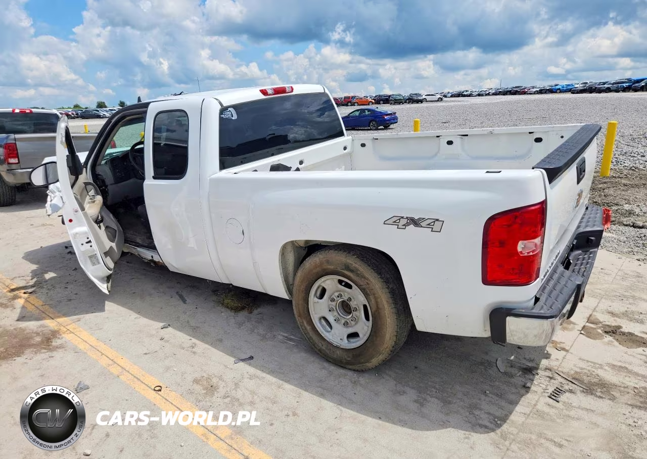 2009 Chevrolet Silverado K1500 VIN:1GCEK19C69Z152599 - 2