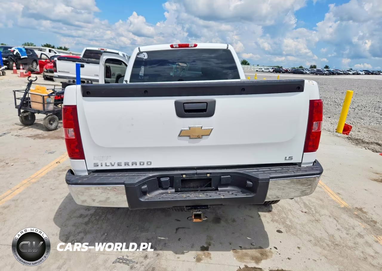 2009 Chevrolet Silverado K1500 VIN:1GCEK19C69Z152599 - 6